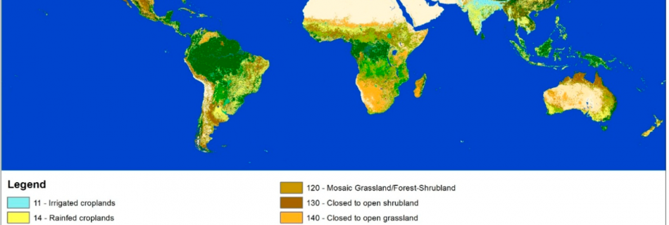 TILES: VEGETATION – Minecraft Earth Map