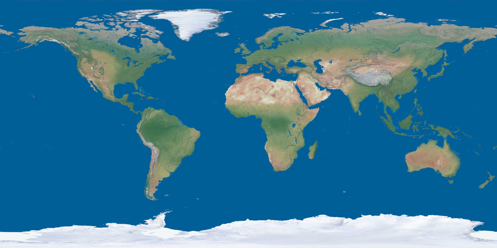 TILES: VEGETATION – Minecraft Earth Map